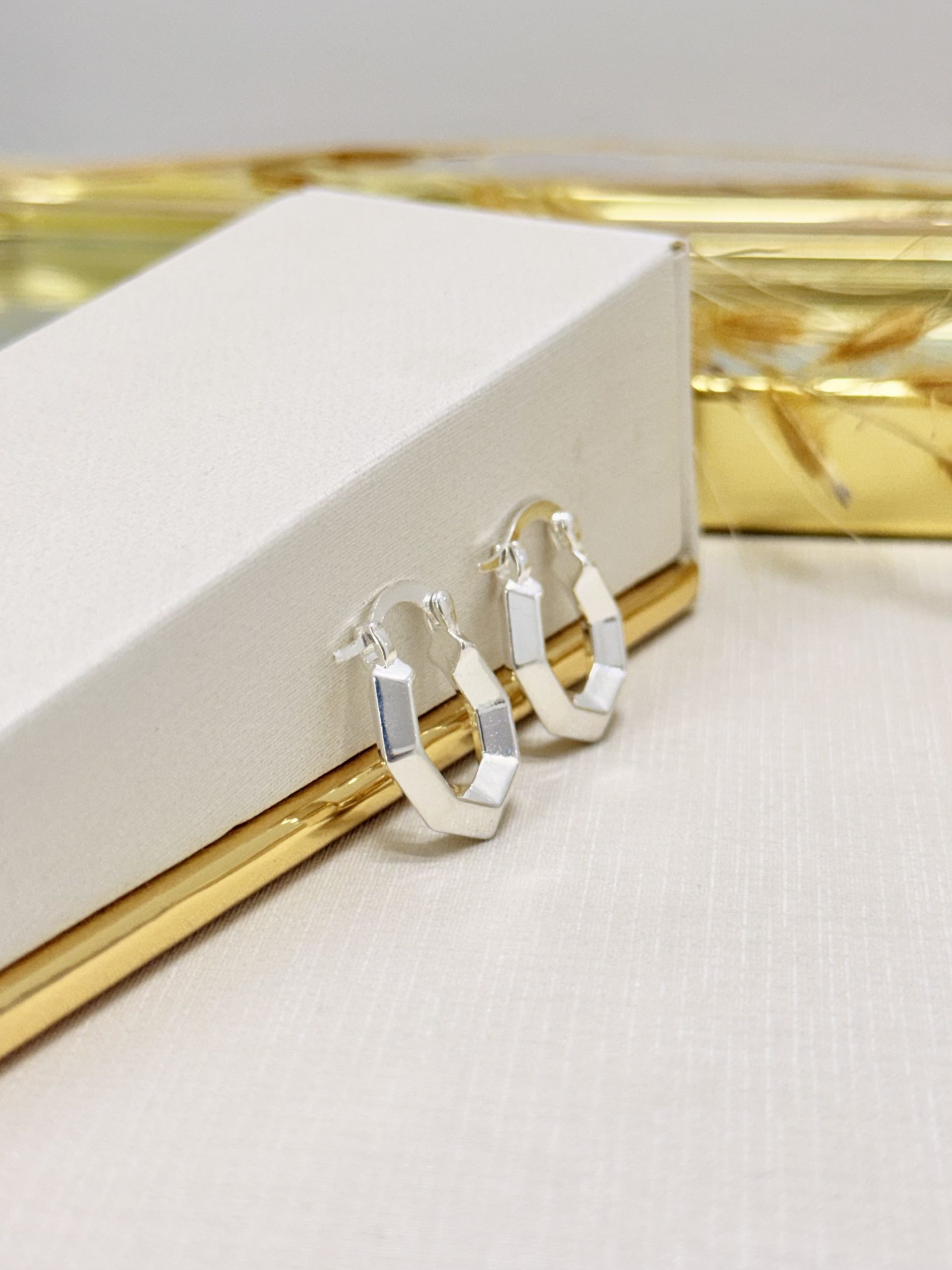 Brinco Argola Organica