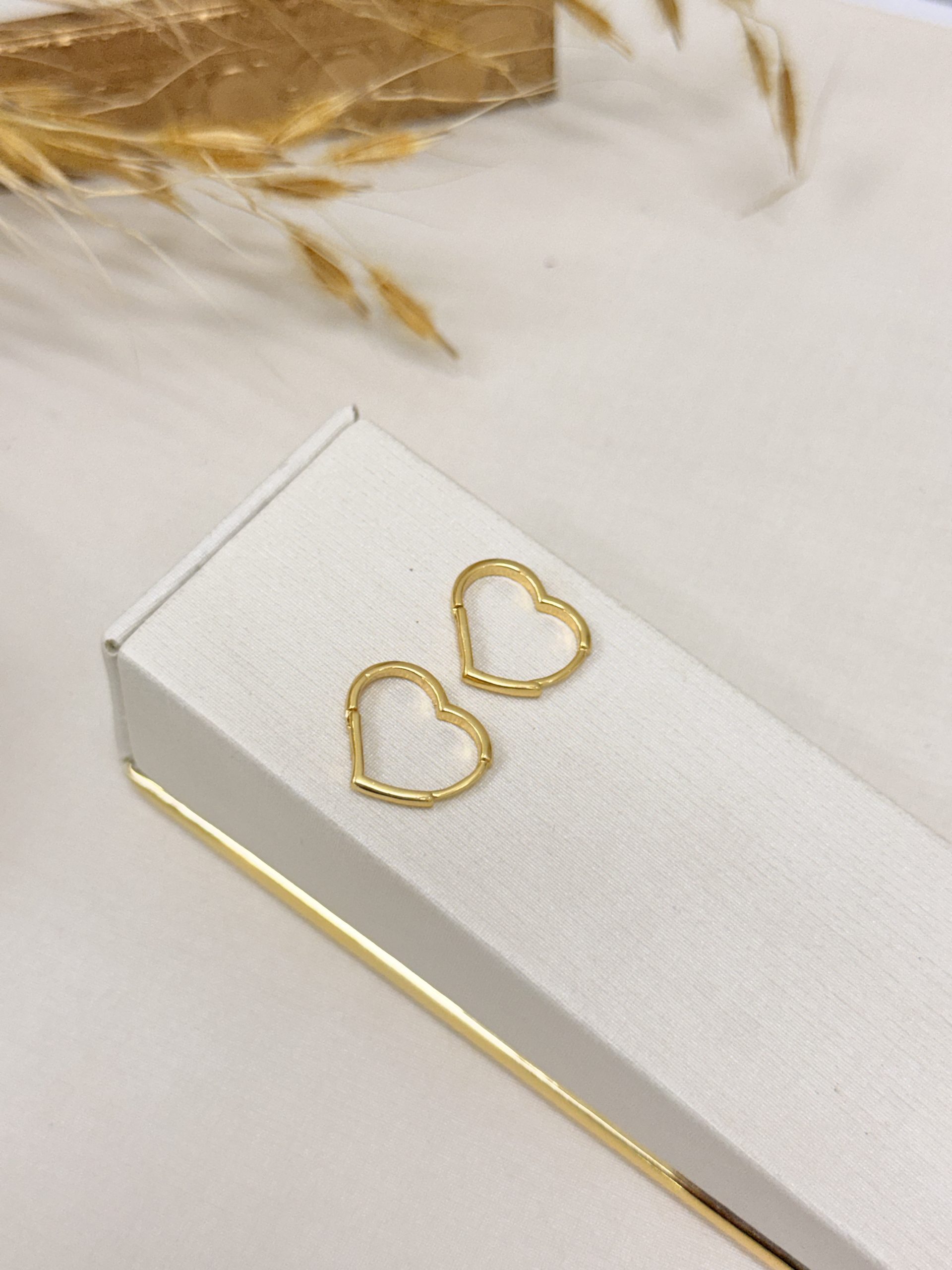 Brinco Argola Coracão