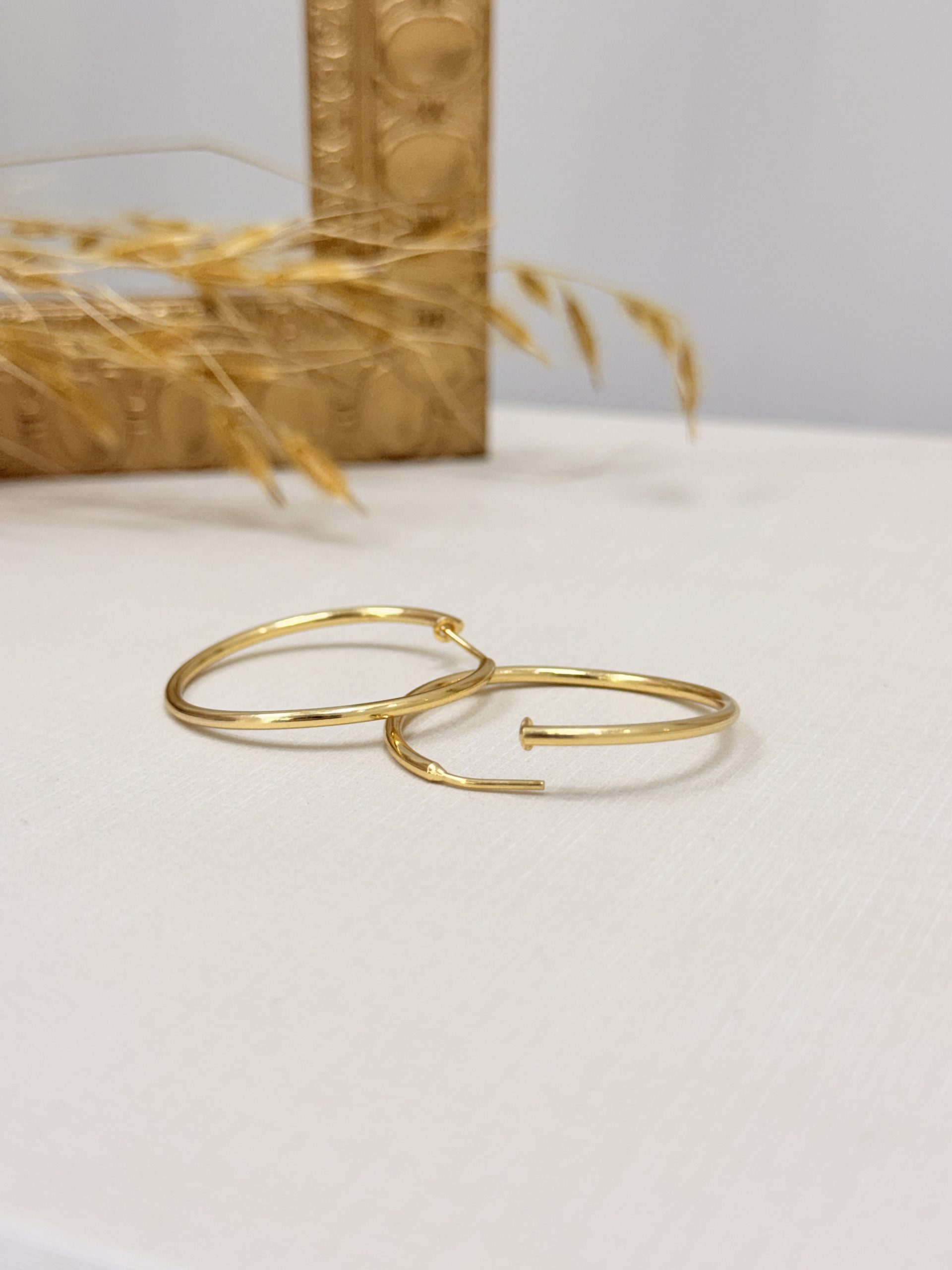 Brinco Argola Lisa - Imagem 2