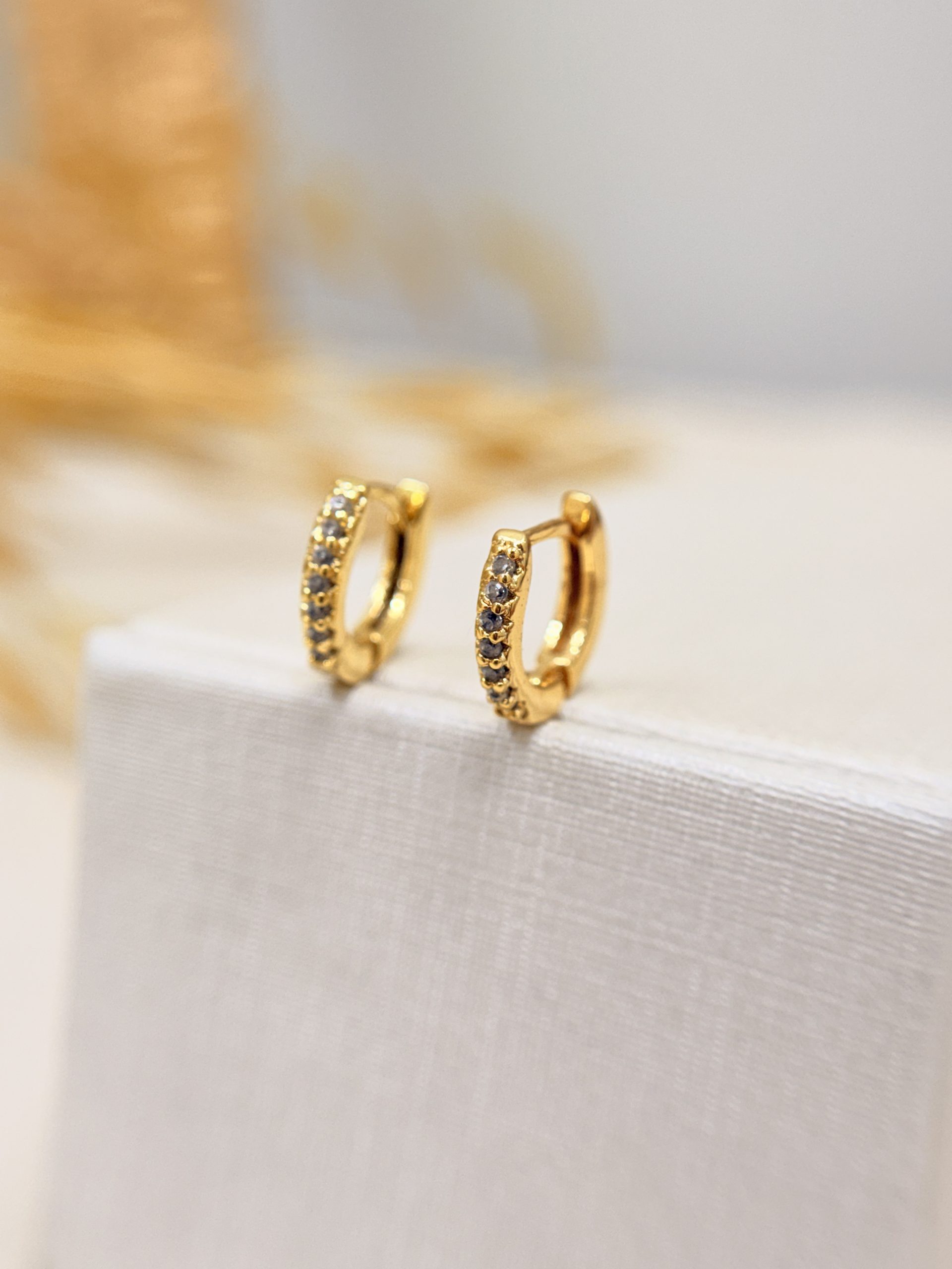 Brinco argola Cravejada