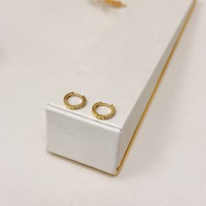 Brinco Argola Cravejada