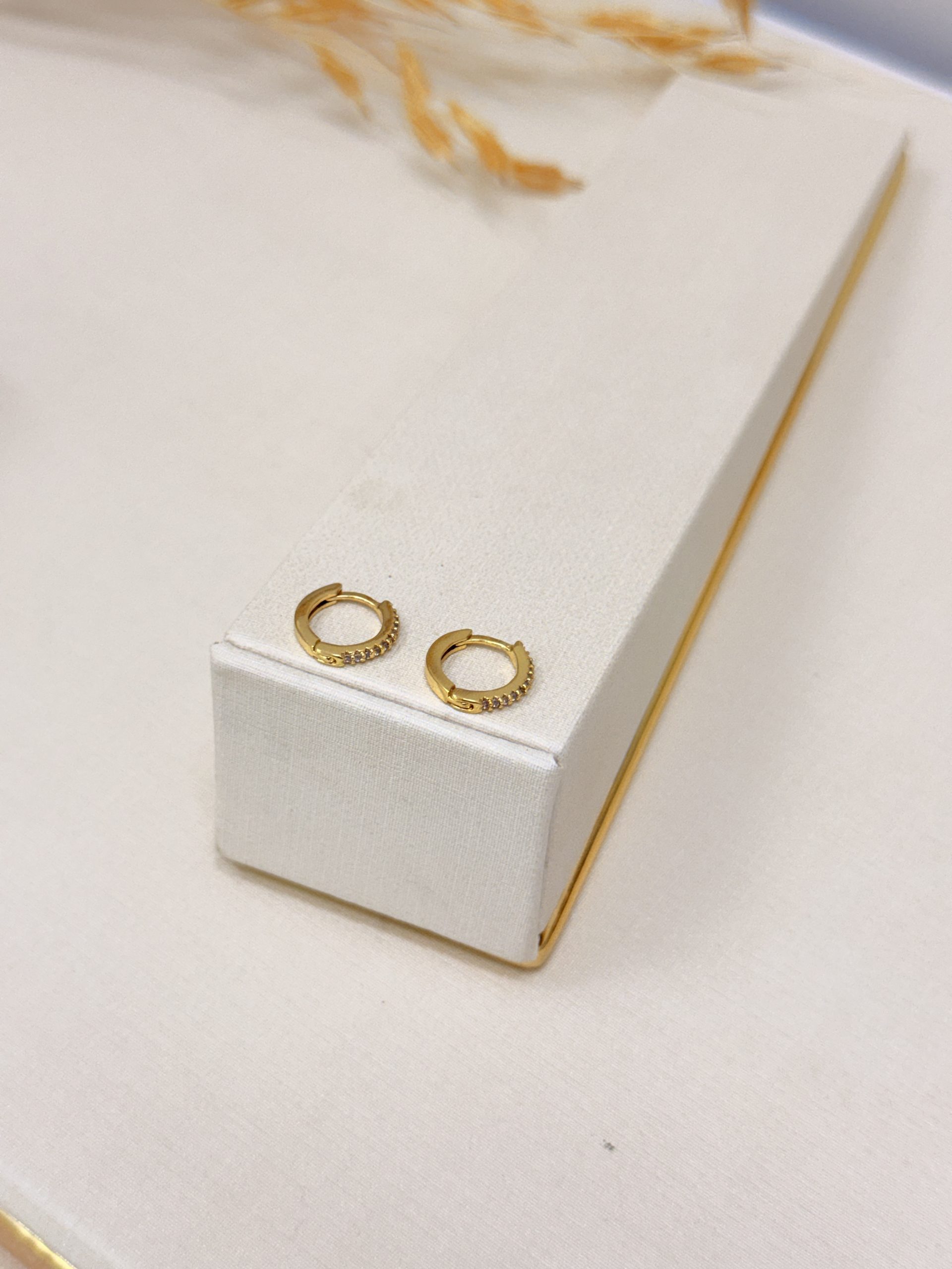 Brinco Argola Cravejada