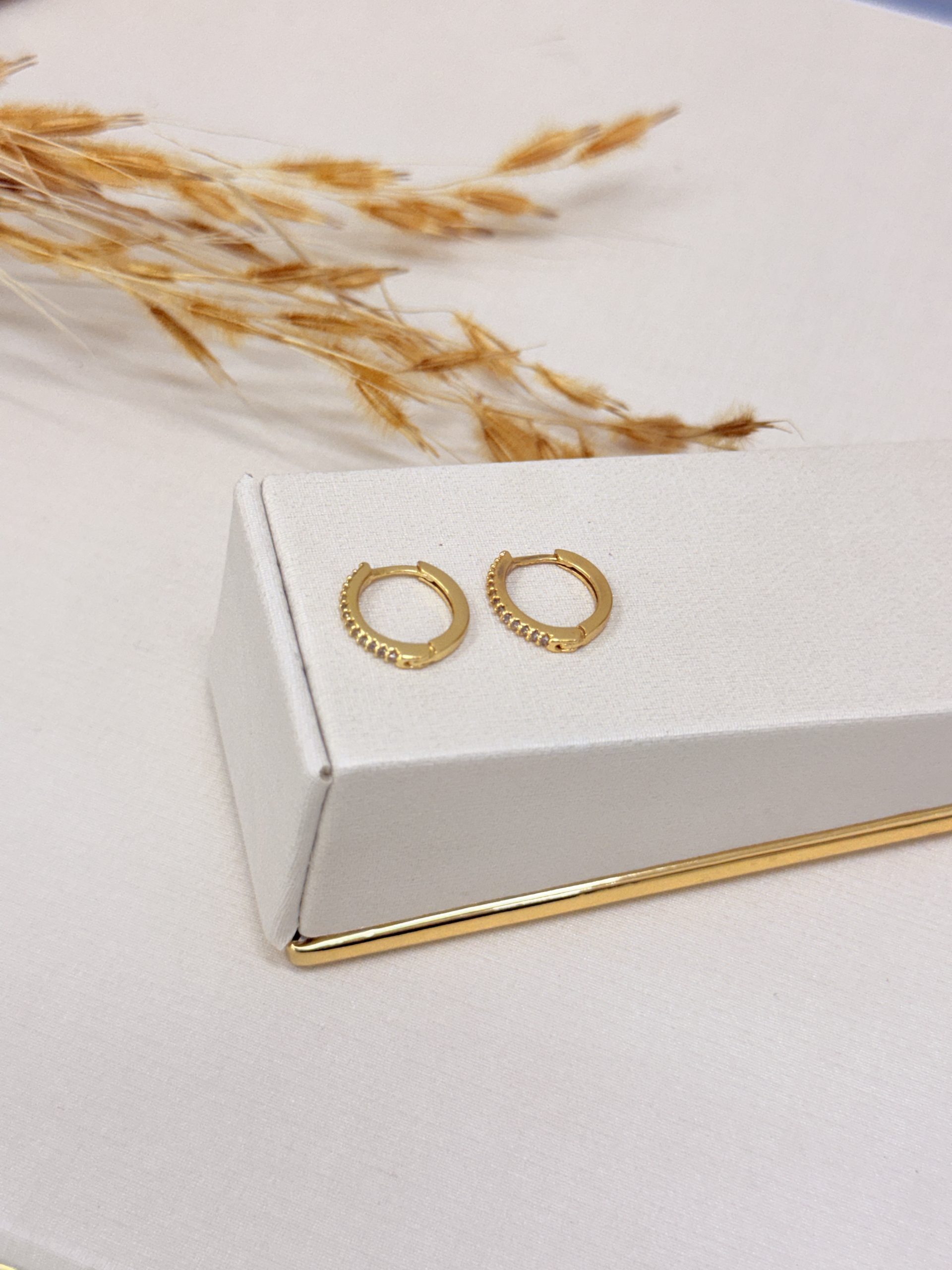 Brinco Argola Cravejada - Imagem 3