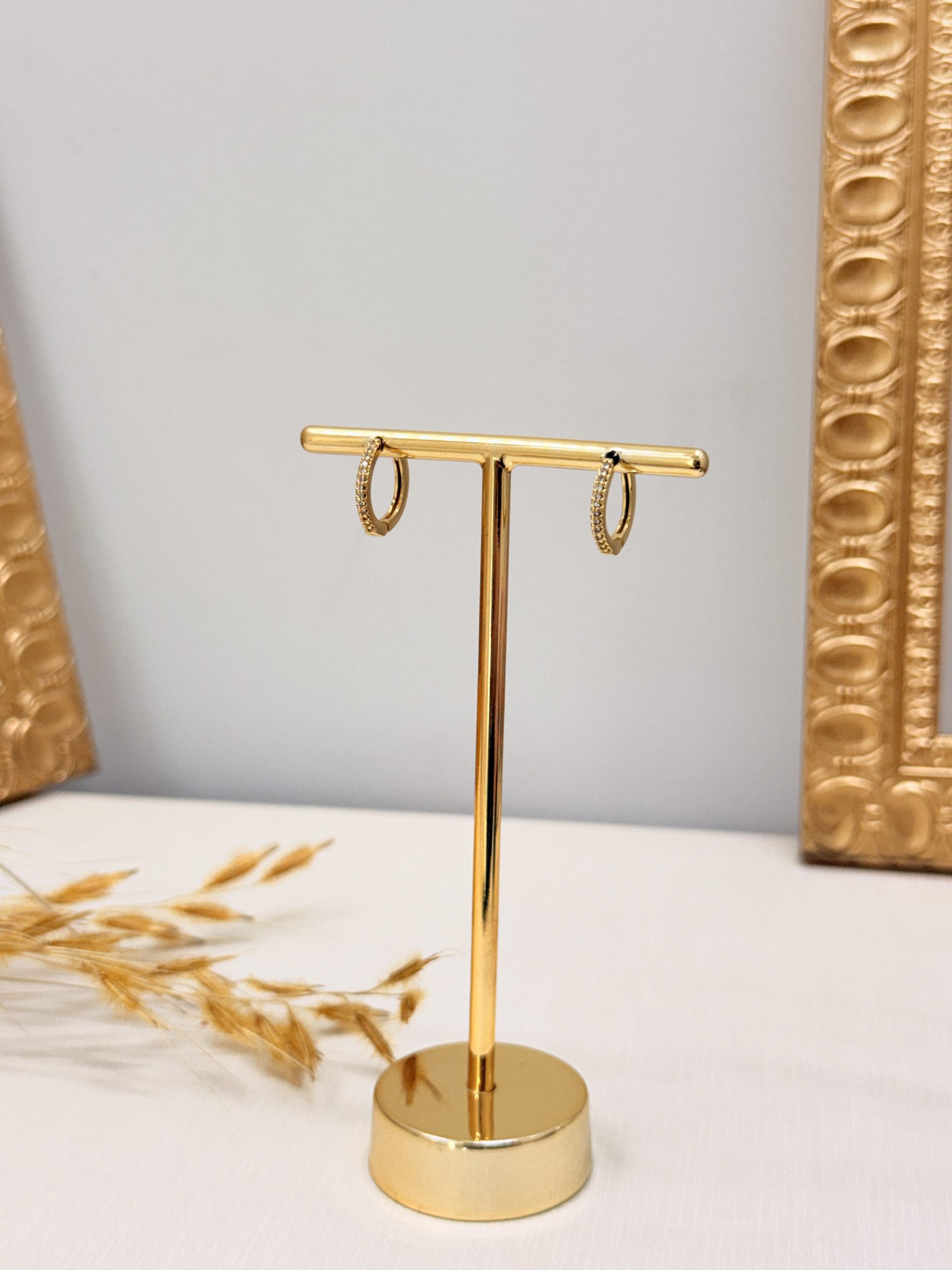 Brinco Argola Cravejada