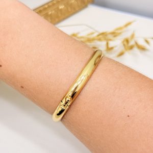 Bracelete Rigido Abalauado