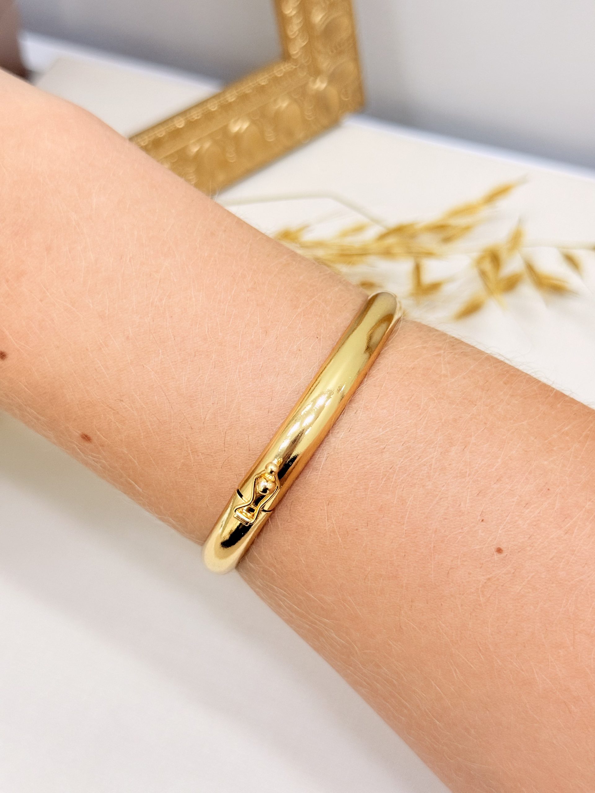 Bracelete Rigido Abalauado