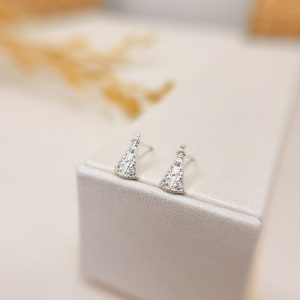 Brinco Nossa Senhora Aparecida          