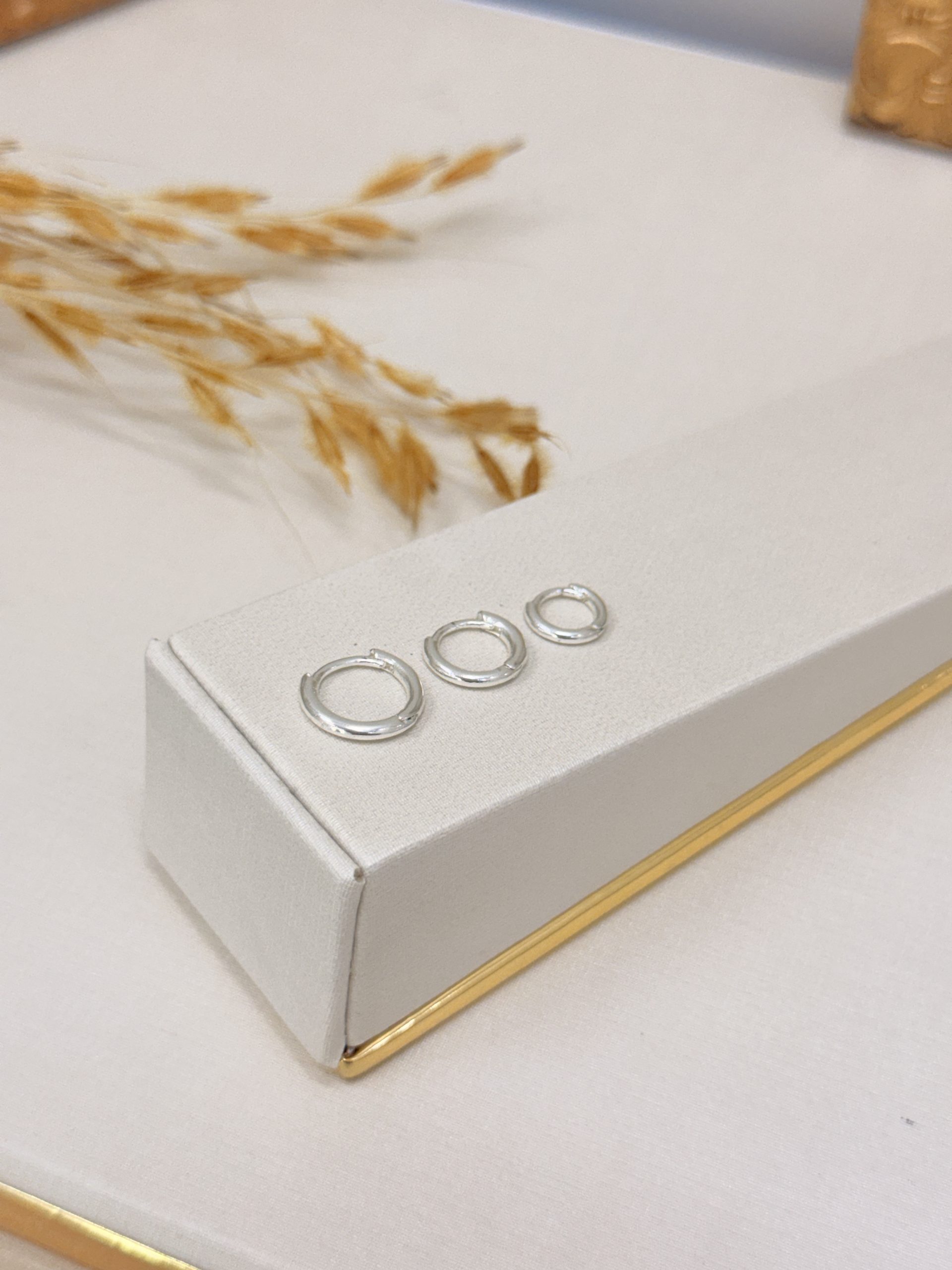 Brinco Trio Argola Redondo