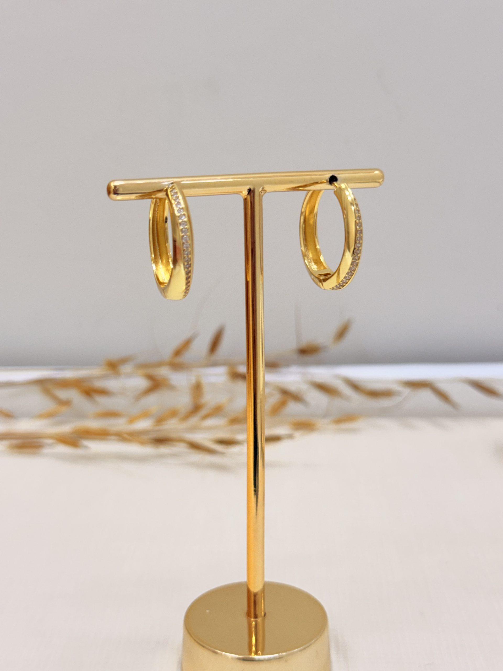 Brinco Argola Elegante